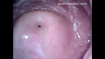 Cam In Mouth Vagina And Ass